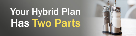 text reading your hybrid plan has two parts next to a photo of a pair of salt and pepper shakers in a metal holder.