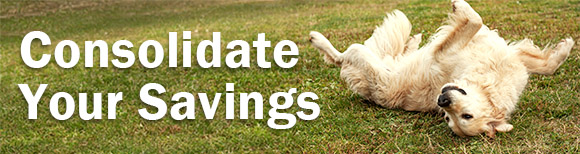 Decorative. Text reading consolidate your savings over a photo of a golden retriever dog rolling over.