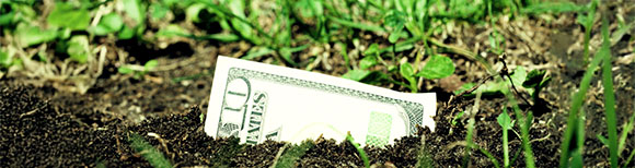 Decorative. One end of a US ten dollar bill sticks up out of the soil with blades of grass growing all around it.